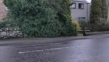 Conon Bridge Pharmacy - Dingwall