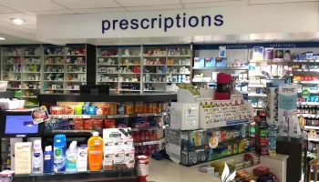 Hollywood Pharmacy - Hollywood