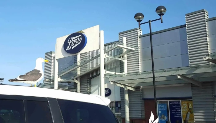 Boots -  All - Falkirk