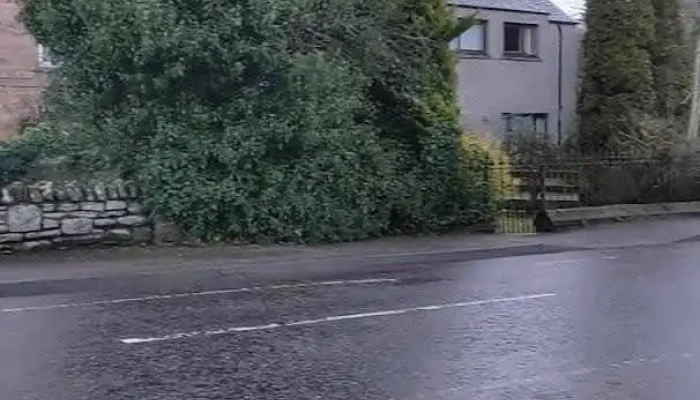 Conon Bridge Pharmacy - Dingwall