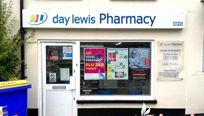 Day Lewis Pharmacy Andover - Andover Sp10 1Hf