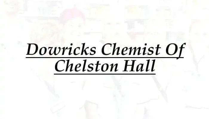 Dowricks Chemist Of Chelston Hall - Torquay Tq2 6Hw